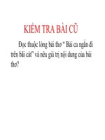 Tiết 17. Lẽ ghét thương (Trích: Truyện Lục Vân Tiên-Nguyễn Đình Chiểu)