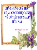 giáo án bồi dưỡng thao giảng, thi giáo viên giỏi môn vật lý lớp 7 bài nguồn âm (3)