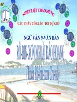 ROBINXON NGOÀI ĐẢO HOANG (9)
