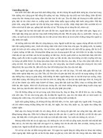 CANH DONG BAT TAN TOAN TAP