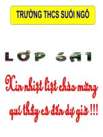 giáo án bồi dưỡng thao giảng, thi giáo viên giỏi môn vật lý 6 bài lực đàn hồi (6)