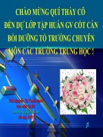 TẬP HUẤN TTCM 2011-2012(CHUYÊN ĐỀ 1)