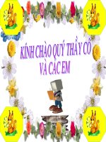 Tuần 8.Tự nhiên xã hội