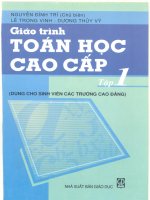 Giáo trình Toán cao cấp tập 1  Nguyễn Đình Trí