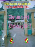 hiểu biết về con voi