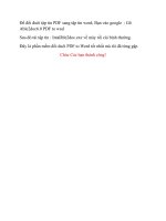 Phan mem doi duoi PDF to WORD
