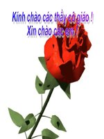 giáo án bồi dưỡng thao giảng, thi giáo viên giỏi môn vật lý lớp 6 bài mặt phẳng nghiêng  (12)