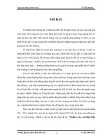 Nghiên cứu, cải thiện hiệu quả quá trình chuyển hoá phân hủy các hợp chất nitơ trong các hệ thống xử lý nước thải sinh hoạt đô thị