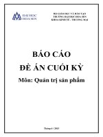 Báo cáo đề án cuối kỳ  Môn quản trị sản phẩm