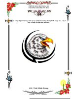 NHIỀU BÌA GIÁO ÁN ĐẸP