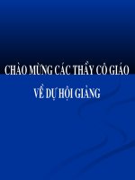 Bài 11: Phát sinh giao tử và thụ tinh
