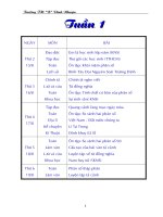 lớp 5 tuần 1 (Tich hợp TKNL)