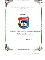 Quá trình màng sinh học xử lí nước thải trong bể lọc sinh học biophin