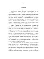 Một số kĩ thuật truy tìm nhân vật trong các kho dữ liệu video lớn