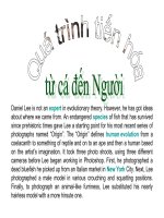 Quá trình tiến hóa từ cá đén người