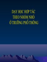 Dạy học hợp tác theo nhóm nhỏ ở trường phổ thông