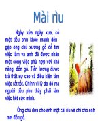 Tập huấn biên soạn đề kiểm tra ngữ văn