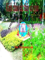 Mở rộng vốn từ Cái đẹp