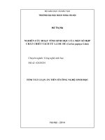 nghiên cứu hoạt tính sinh học của một số hợp chất chiết tách từ lá đu đủ (carica papaya linn)