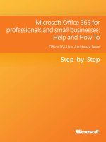 microsoft office 365 for professionals and small businesses help and how to