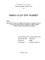 Giải pháp nâng cao hiệu quả cho vay hộ sản xuất tại ngân hàng nông nghiệp và phát triển nông thôn việt nam chi nhánh sơn động