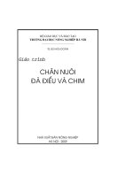 GT Chan nuoi da dieu va chim