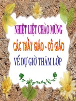 BÀI 30 TIẾT 49