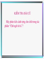 Tiết 45. Hạnh phúc của một tang gia (Trích: Số đỏ-Vũ Trọng Phụng)