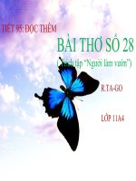 tong quan van hoc viet nam