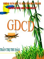 CD 8 TIẾT 7-BÀI 7