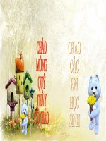 Bài 12: Cơ chế xác định giới tính