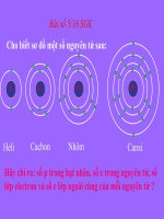 Hóa 8 - Tiết 6: Nguyên tố hóa học