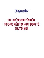 Tổ chức kiểm tra hoạt động tổ chuyên môn