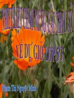 ĐẠO ĐỨC 5- KÍNH GIÀ YÊU TRẺ