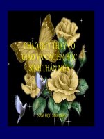 Bài 10: Giảm phân