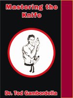 Võ thuật căn bản: Mastering The Knife.pdf