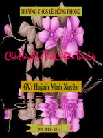 Bài 3: Lai Một Cặp Tính Trạng (tt)