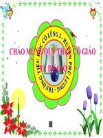 TLV THế nào là miêu tả