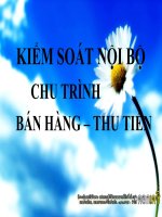 Thuyết trình kiểm soát nội bộ chu trình bán hàng –thu tiền