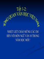 Tổng quan van học Việt Nam ( Vi Xuân Hải)