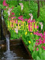 Bài  Động vật ăn gì để sống