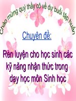 CHUYÊN ĐỀ TẬP HUẤN NĂM 2011