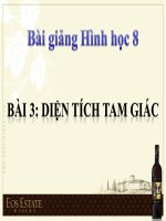 bài giảng hình học 8 chương 2 bài 3 diện tích tam giác