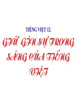TIẾNG VIỆT 12: GIỮ GÌN SỰ TRONG SÁNG CỦA TIẾNG VIỆT