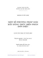 một số phương pháp giải bất đẳng thức biến phân đơn điệu