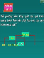 Hô hấp ở thực vật - sinh học 11