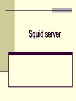 bài giảng squid server