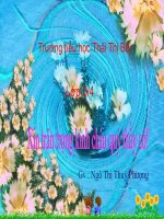 Luyện từ và câu - so sánh