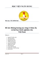 Khủng hoảng nợ công ở Châu Âu và bài học kinh nghiệm cho Việt Nam