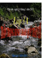 kha nang ki dieu cua la cay